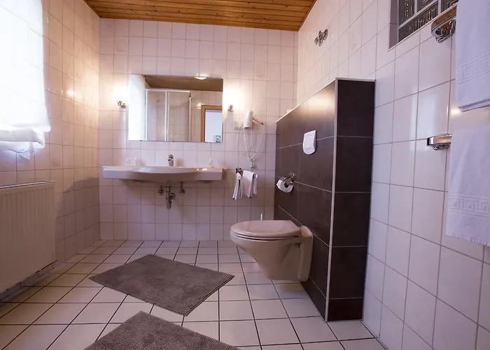 בית הארחה Rhein-ahr רמאגן